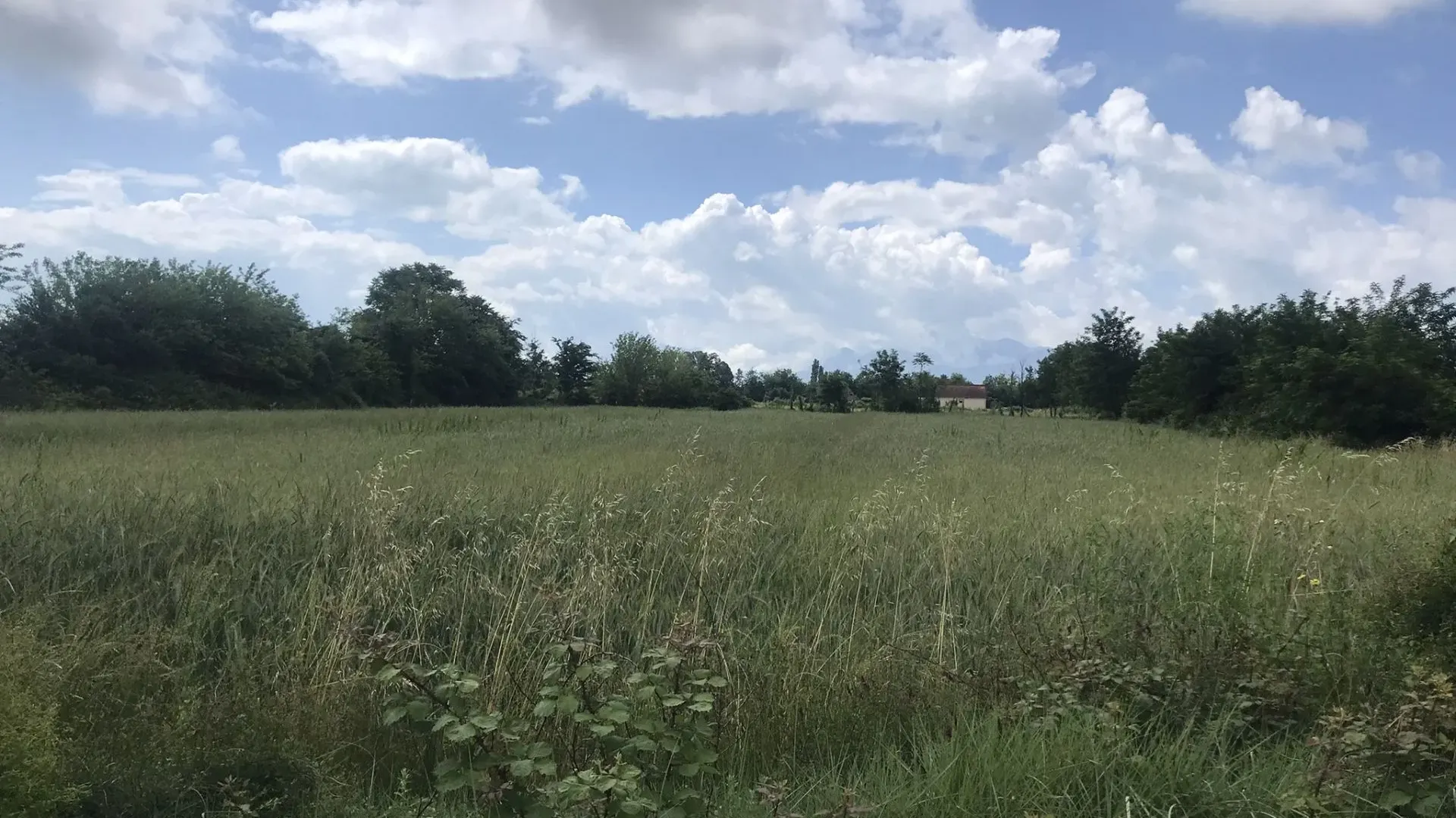 Prodaja, plac, 10000m², Podgorica, Crna Gora