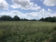 Prodaja, plac, 10000m², Podgorica, Crna Gora - image 3