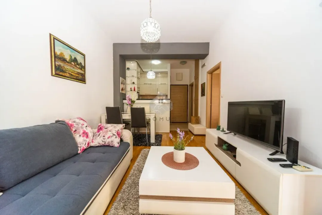 Rent, one bedroom apartment, 43m², Ljubović, Podgorica