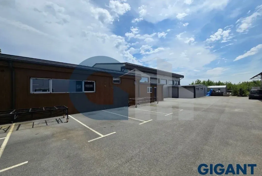 Izdavanje, poslovni prostor, 800m², Čukarica, Beograd