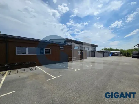 Izdavanje, poslovni prostor, 800m², Čukarica, Beograd