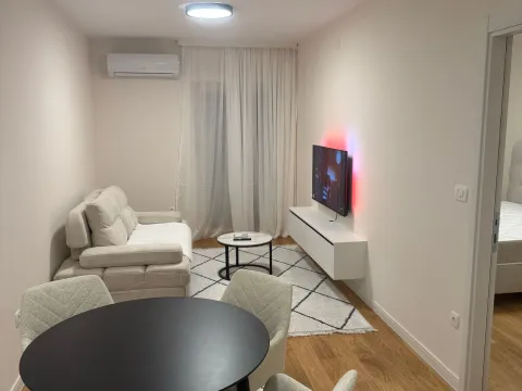 Rent, one bedroom apartment, 43m², Central Point, Podgorica - image 3