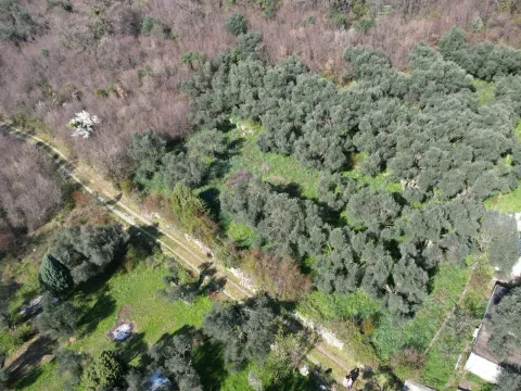 Sale, land lot, 15810m², Buljarica, Budva - image 23