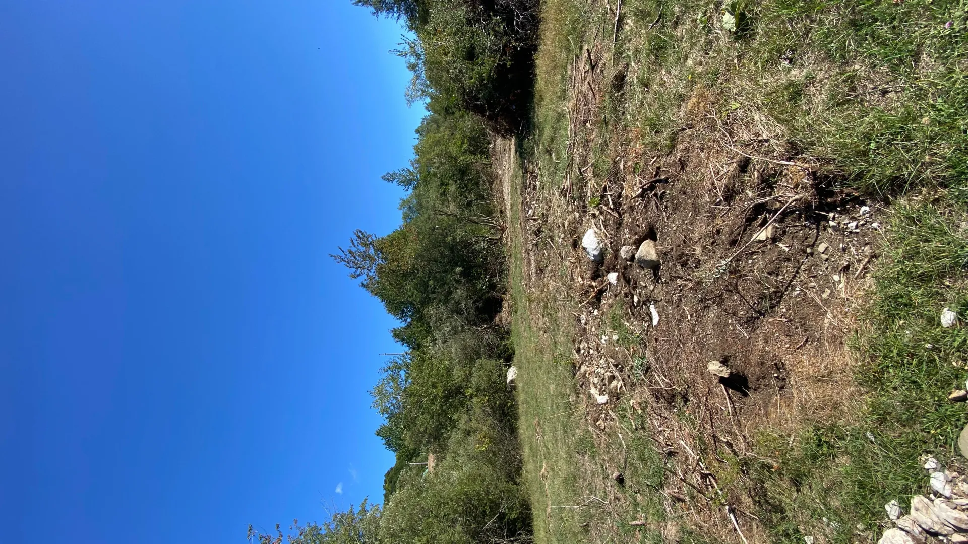 Prodaja, plac, 2500m², Veruša, Podgorica