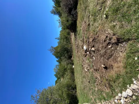 Prodaja, plac, 2500m², Veruša, Podgorica - image 3