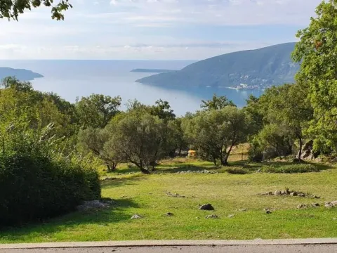 Prodaja,  zemljište, 2500m2, Trebešin, Herceg Novi