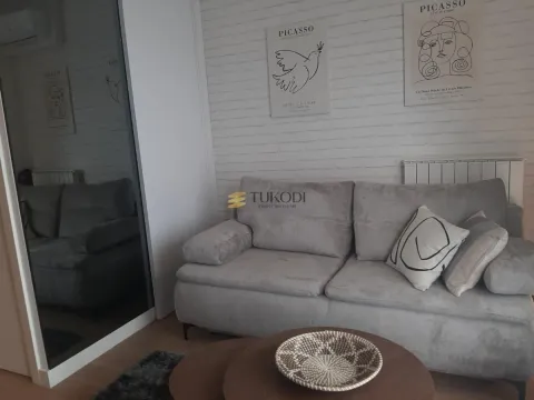 Izdavanje, garsonjera, 32m², Savski Venac, Beograd - image 3