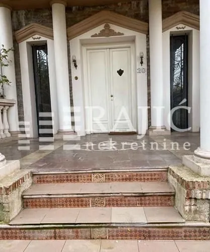 Entrance to the house with stairs and columns.
