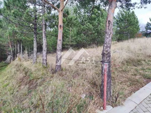 Prodaja, plac, 560m², Zova, Zlatibor - image 3