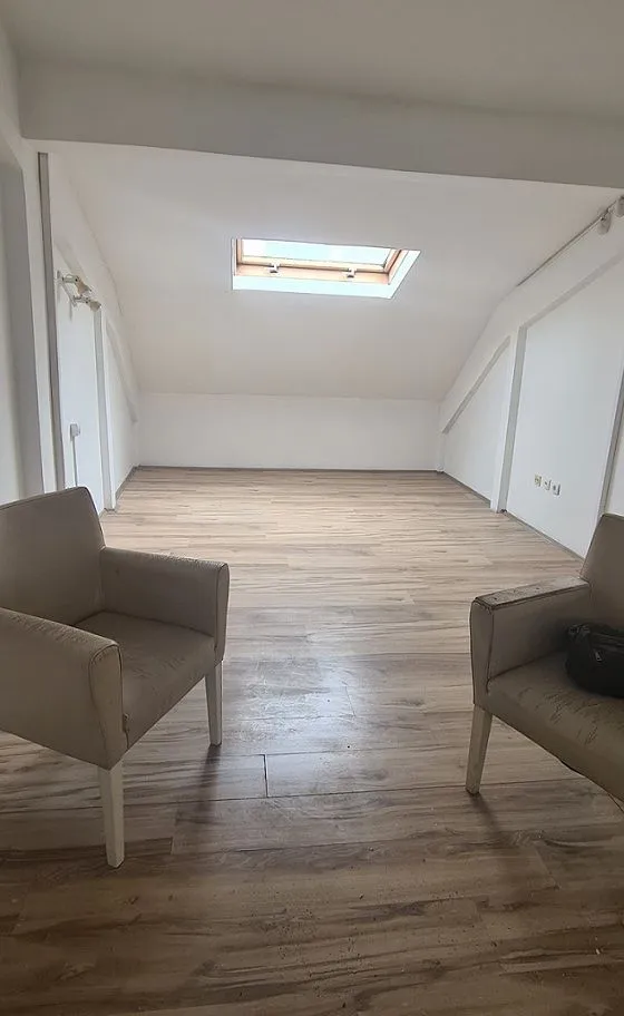 Attic space with white walls, wooden flooring and a skylight.