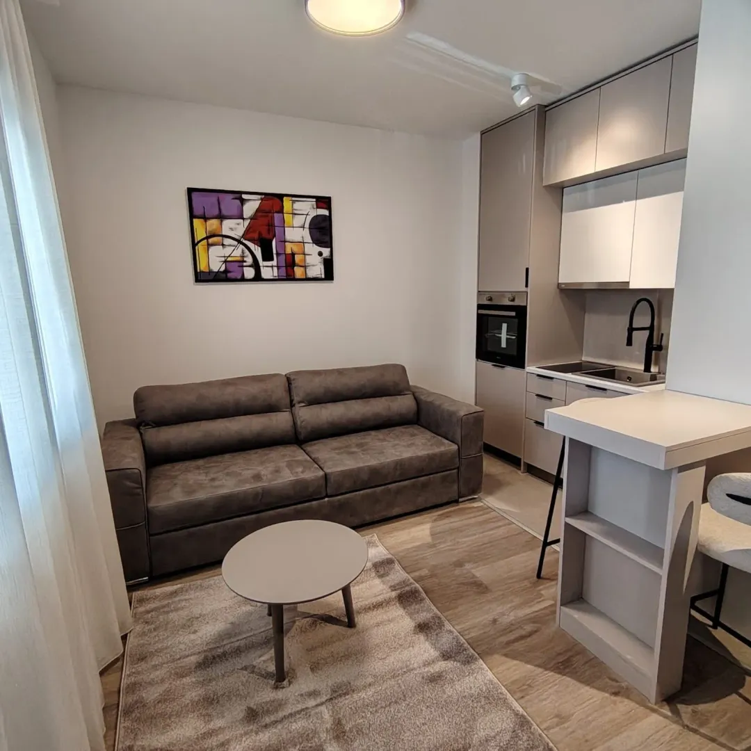 Rent, studio apartment, 25m², Zabjelo, Podgorica