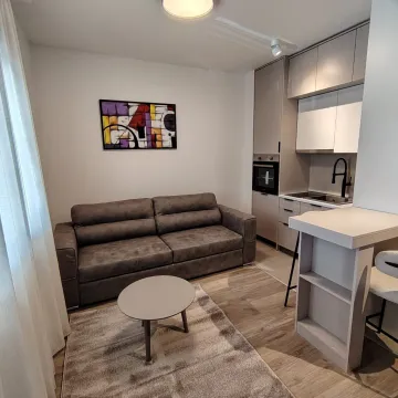 Rent, studio apartment, 25m², Zabjelo, Podgorica - image 5