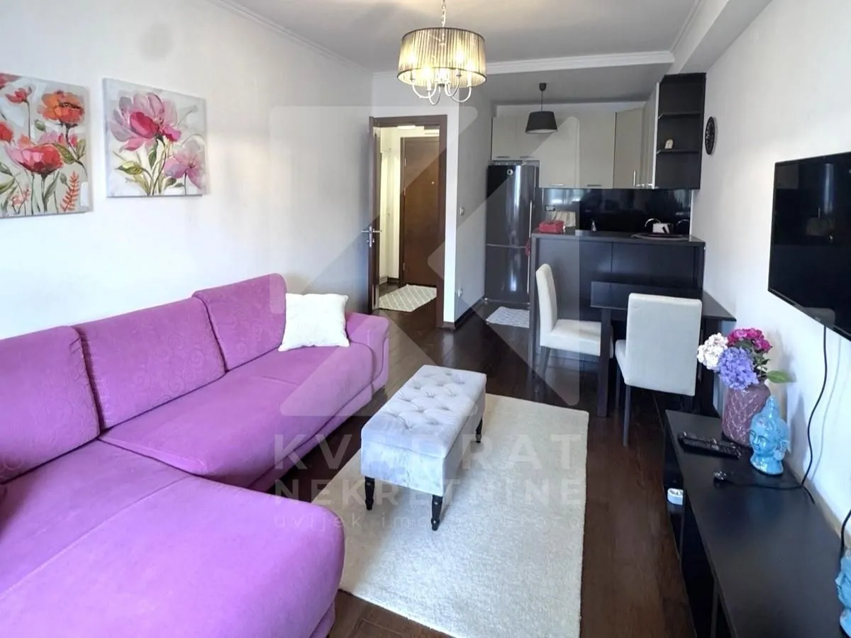 Rent, one bedroom apartment, 44m², Gorica C, Podgorica