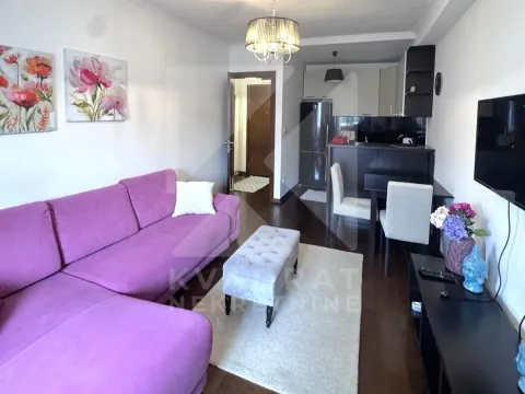 Rent, one bedroom apartment, 44m², Gorica C, Podgorica - image 3