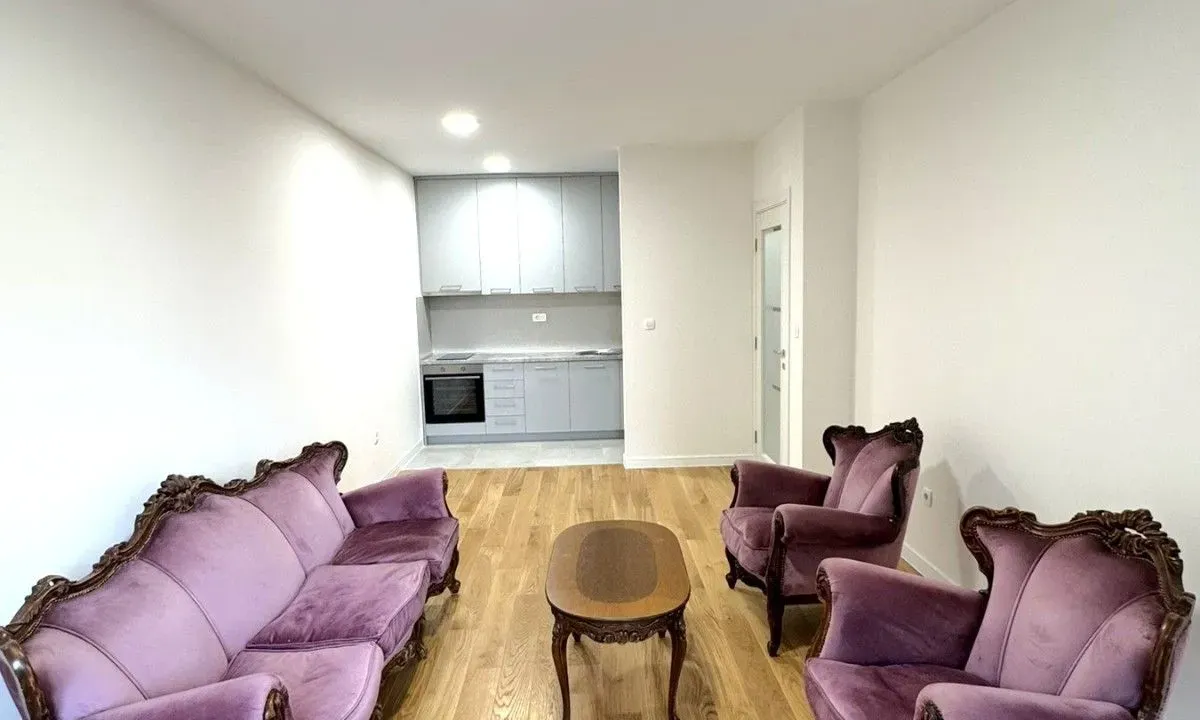 Rent, one bedroom apartment, 45m², Central Point, Podgorica