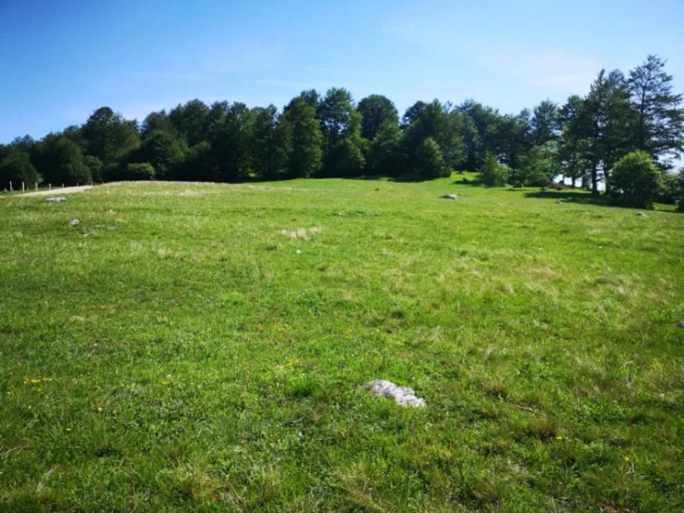 Prodaja, plac, 11500m², Pošćenski Kraj, Žabljak