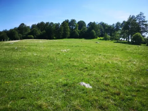 Prodaja, plac, 11500m², Pošćenski Kraj, Žabljak - image 3