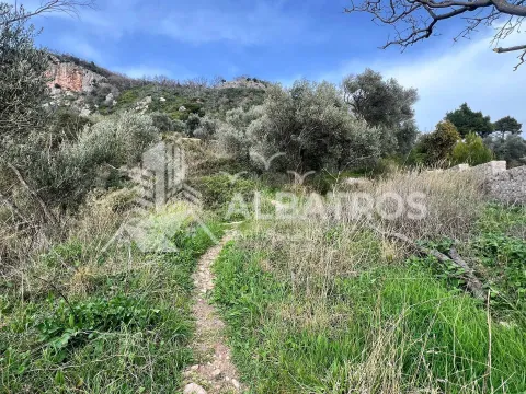 Prodaja, plac, 2415m², Ratac, Bar - image 4