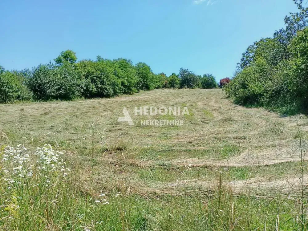 Prodaja, kuća, 140m², Kosmaj, Sopot