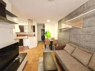 Izdavanje, dvosoban stan, 43m², Centar, Niš - image 1