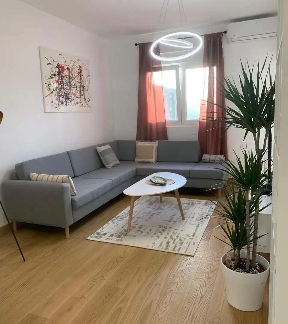 Rent, one bedroom apartment, 47m², City Kvart, Podgorica