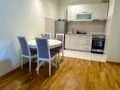 Rent, one bedroom apartment, 43m², Zagorič, Podgorica - image 3