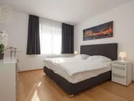 Rent, one bedroom apartment, 31m², Grbavica, Novi Sad Sve Podlokacije - image 3