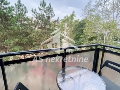 Izdavanje, dvosoban stan, 43m², Novi Beograd Sve Podlokacije, Beograd - image 5