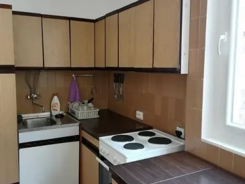 Rent, one bedroom apartment, 52m², Velji Vinogradi, Budva - image 7