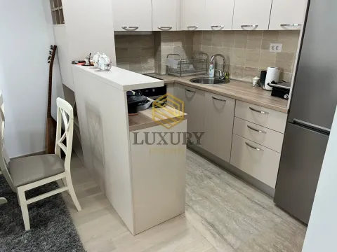 Izdavanje, jednosoban stan, 63m², Preko Morače, Podgorica - image 11