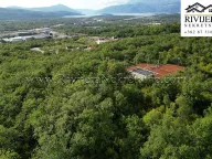 Prodaja, plac, 5356m², Dub, Kotor - image 2