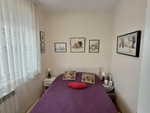 Rent, two bedroom apartment, 50m², Voždovac Sve Podlokacije, Beograd - image 3