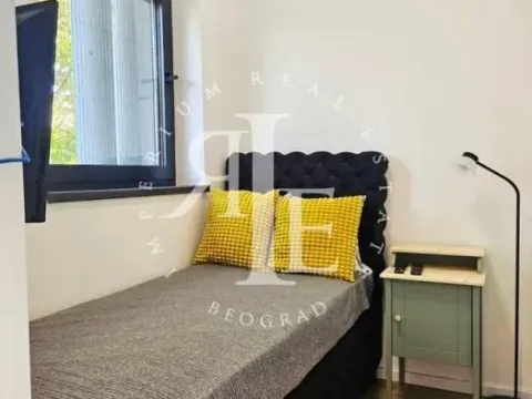 Izdavanje, stan, 35m², Stari Grad, Beograd - image 9