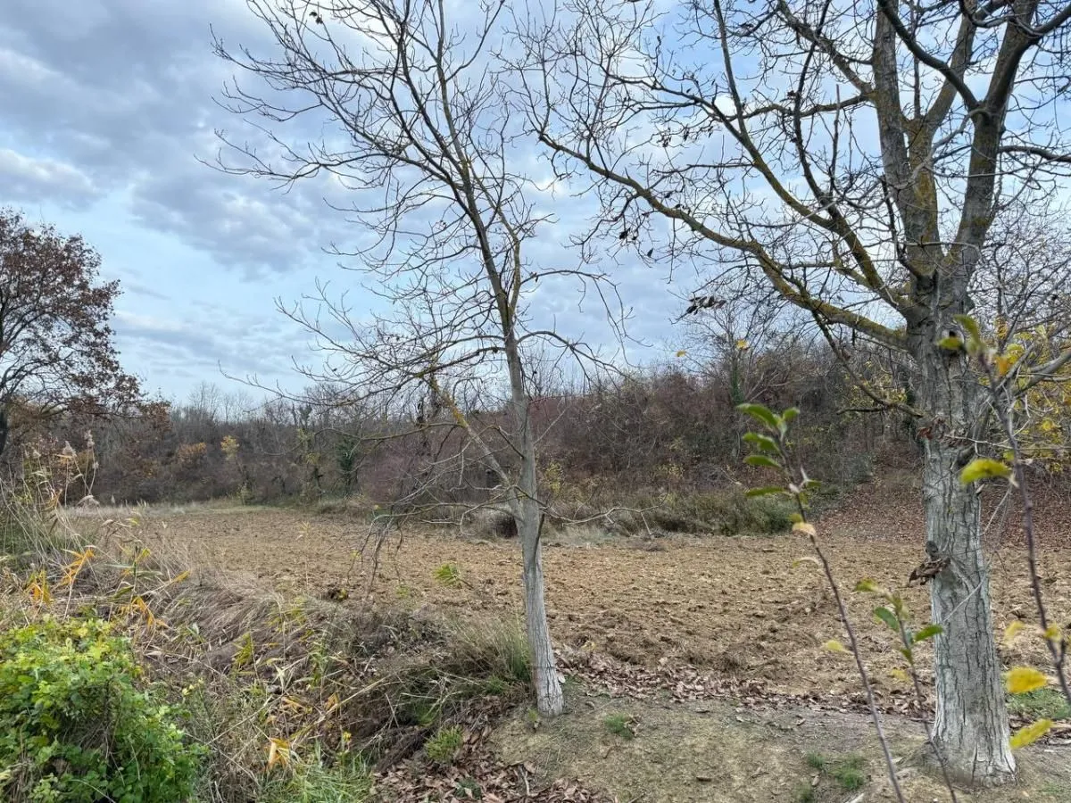 Prodaja, plac, 24207m², Beočić, Rekovac