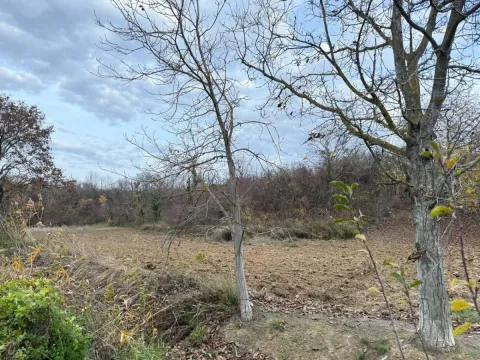 Prodaja, plac, 24207m², Beočić, Rekovac - image 19