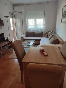Izdavanje, jednosoban stan, 45m², Gintaš, Podgorica
