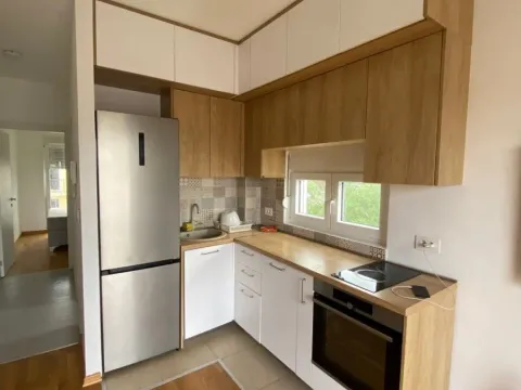 Rent, apartment, 45m², Stari Aerodrom, Podgorica - image 2