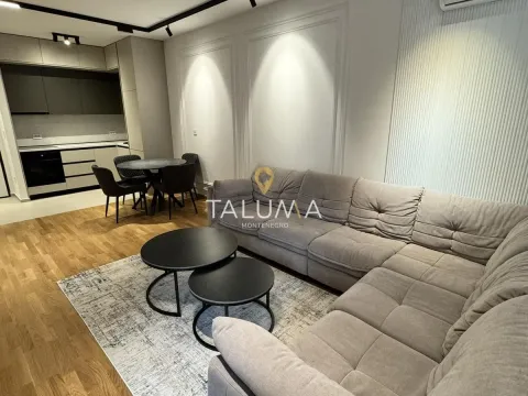 Izdavanje, jednosoban stan, 48m², Stari Aerodrom, Podgorica - image 2