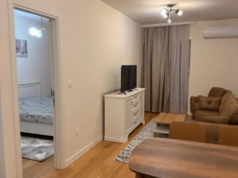 Izdavanje, jednosoban stan, 40m², Central Point, Podgorica - image 5