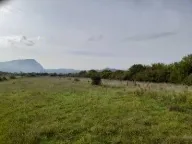 Sale, land lot, 5257m², Ozrinići, Nikšić - image 1