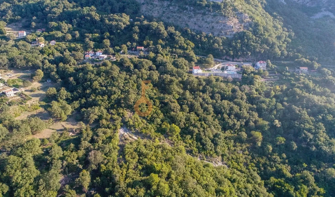 Prodaja, plac, 41645m², Budva, Crna Gora