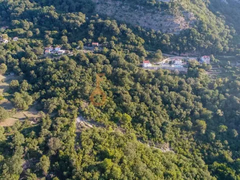 Prodaja, plac, 41645m², Budva, Crna Gora - image 7