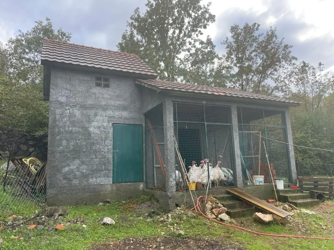 Sale, house, 120m², Novo Selo, Danilovgrad