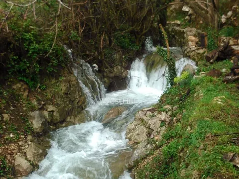 Prodaja, plac, 2384m², Buljarica, Budva - image 10