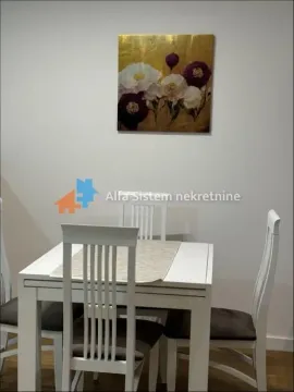 Izdavanje, dvosoban stan, 48m², Novi Beograd Sve Podlokacije, Beograd - image 3