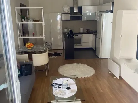Izdavanje, jednosoban stan, 42m², Bulbulder, Zvezdara Sve Podlokacije - image 6