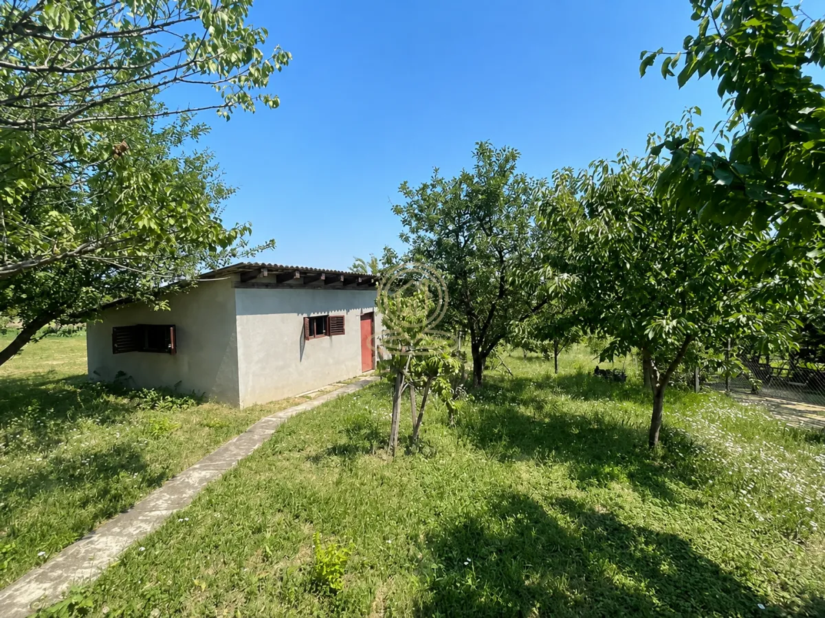 Manja prizemna kuća okružena zelenilom i voćnjakom.