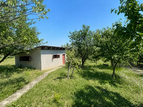 Manja prizemna kuća okružena zelenilom i voćnjakom. - image 12
