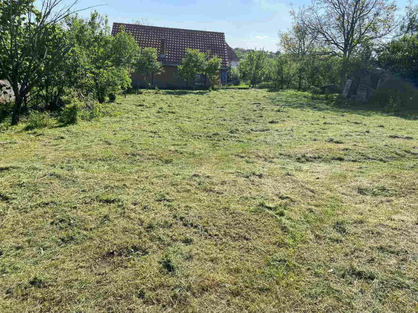 Travnato dvorište sa kućom i zelenilom u pozadini.