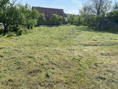 Travnato dvorište sa kućom i zelenilom u pozadini. - image 2
